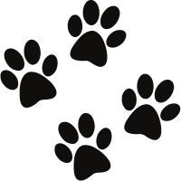 Pet Services